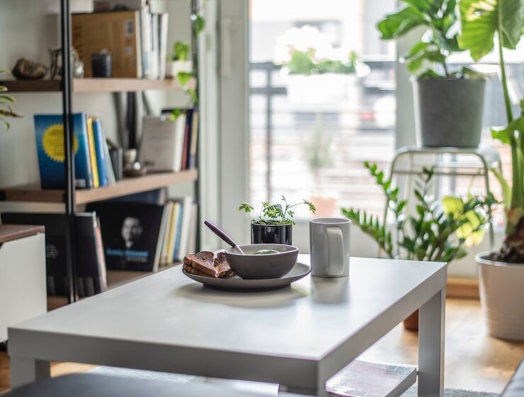 Steps To Decorating Your First Apartment