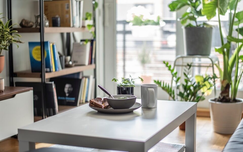 Steps To Decorating Your First Apartment