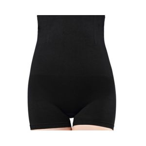 4-Steel Boned Tummy & Waist Shapewear