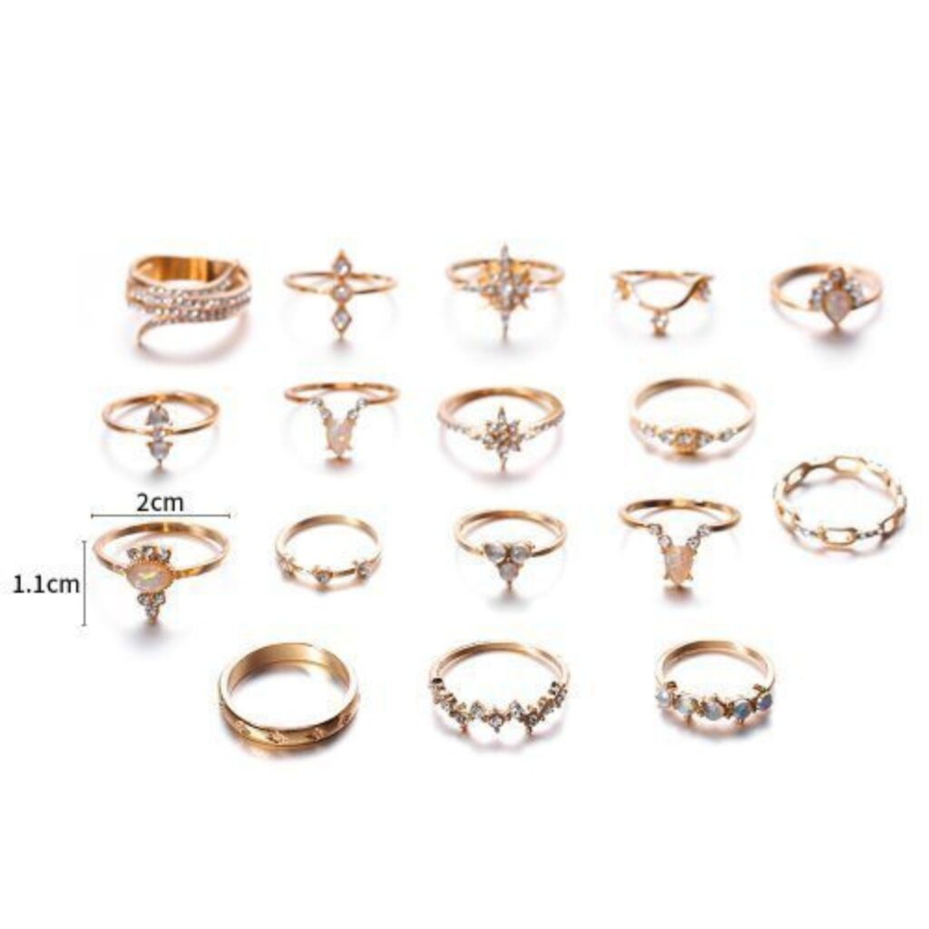 17 In 1 Knuckle Ring Set