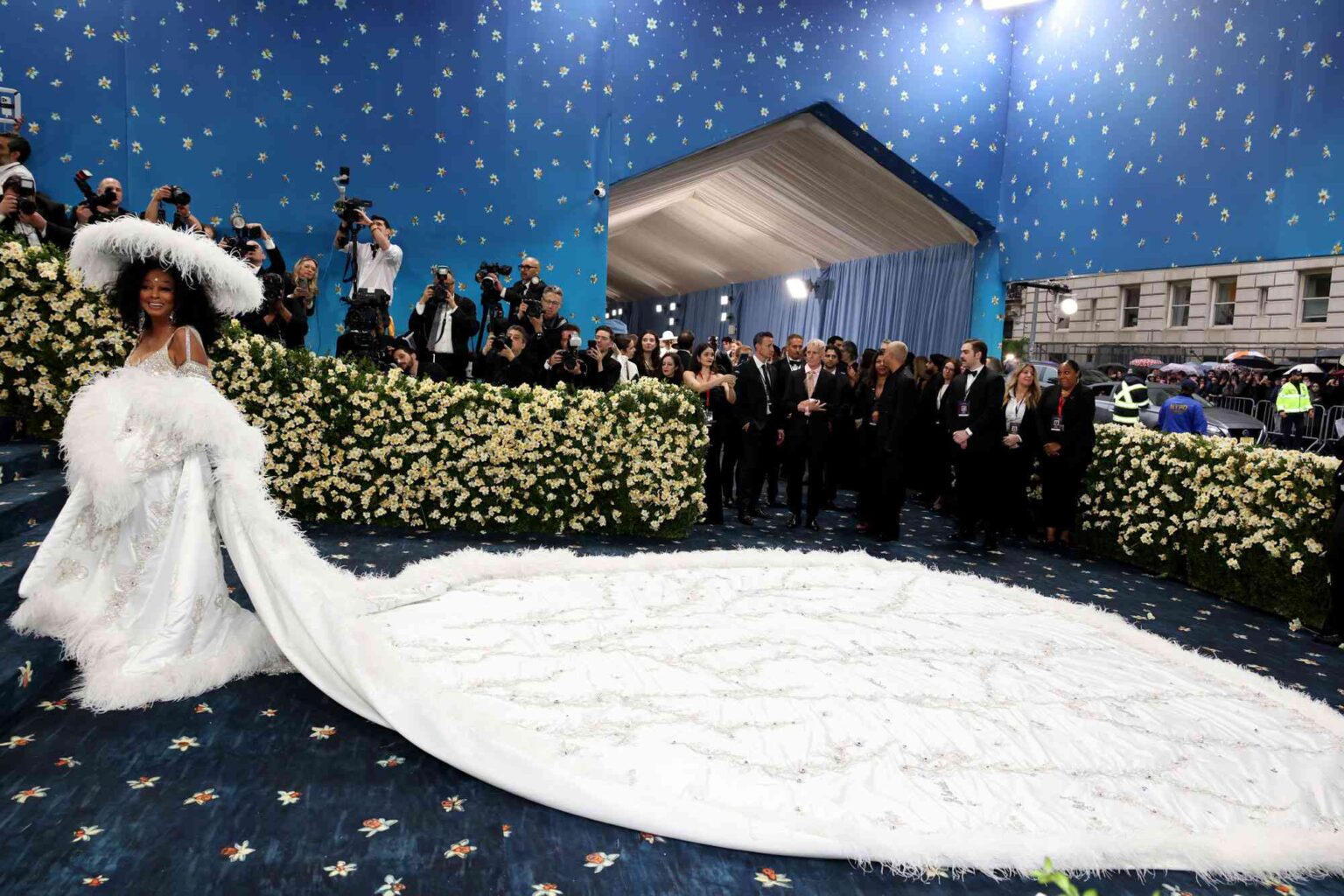 Diana Ross Met gala