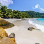 A beach surrounded by the sea and greenery under the sunlight and a blue sky in Praslin in Seychelles