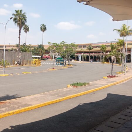 Palm-lined access road and terminal buildings at Jomo Kenyatta International Airport in Nairobi.
